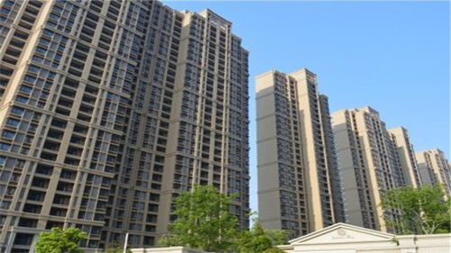 2019年5月金融統(tǒng)計數(shù)據(jù)報告