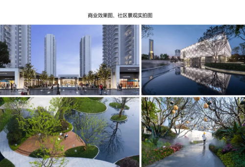 2020年產品力 入圍品質項目路演報告合集——聚焦房產長沙站與四川房地產